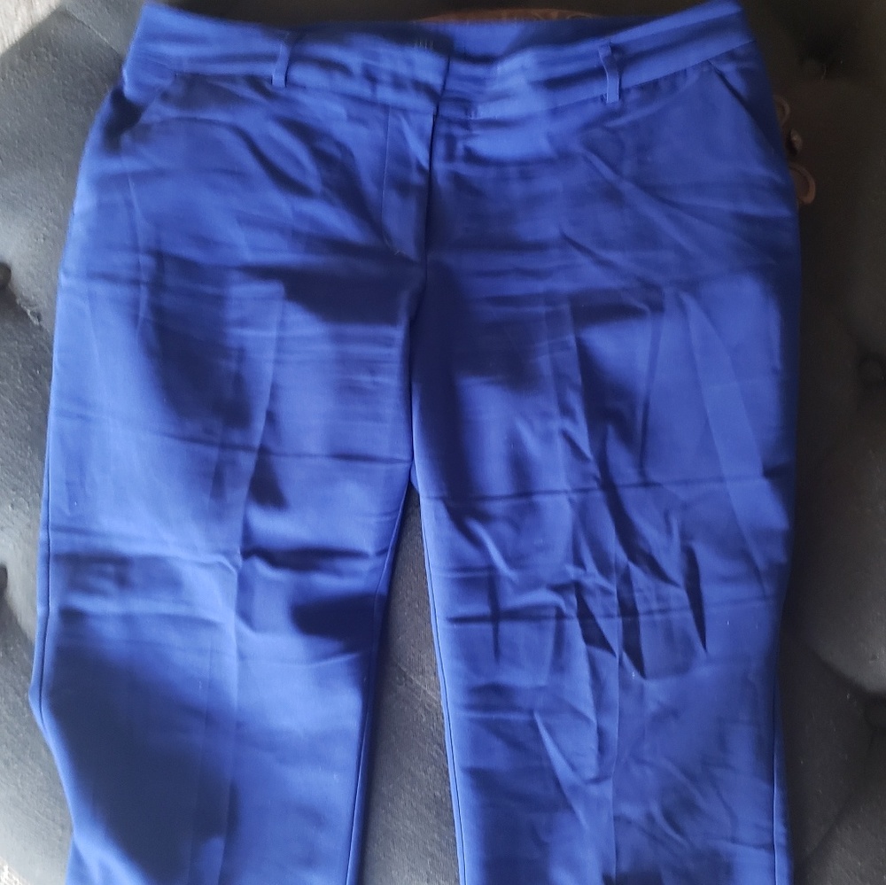 Beautiful royal blue trousers